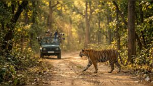 Bandhavgarh National Park Safari ഓൺലൈനായി എങ്ങനെ ബുക്ക് ചെയ്യാം (പൂർണ്ണ വിവരങ്ങൾ 2026)