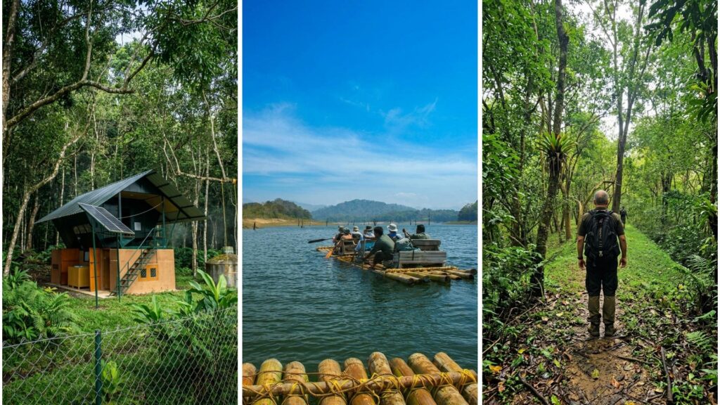 Visitors enjoying eco tourism activities in Periyar Tiger Reserve Thekkady including boating trekking and bamboo rafting