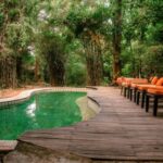 Best luxury and budget hotels in Bandhavgarh National Park 2026, featuring jungle villas and safari lodges near Tala Gate.