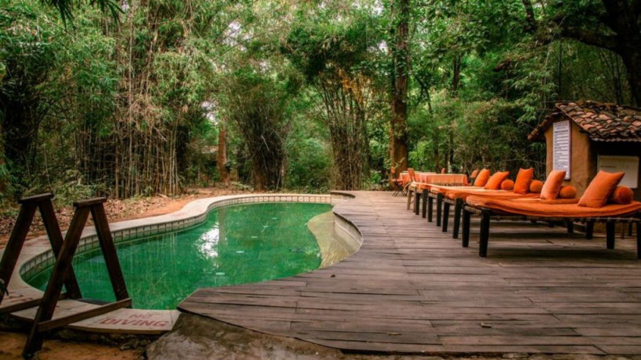 Best luxury and budget hotels in Bandhavgarh National Park 2026, featuring jungle villas and safari lodges near Tala Gate.