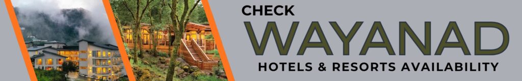 Premium Wayanad resort nestled inside a lush tropical rainforest canopy