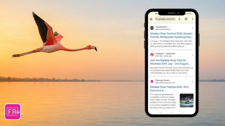 A flamingo flying over a calm lake symbolising the journey of Flemingo Routes reaching Google Page 1.
