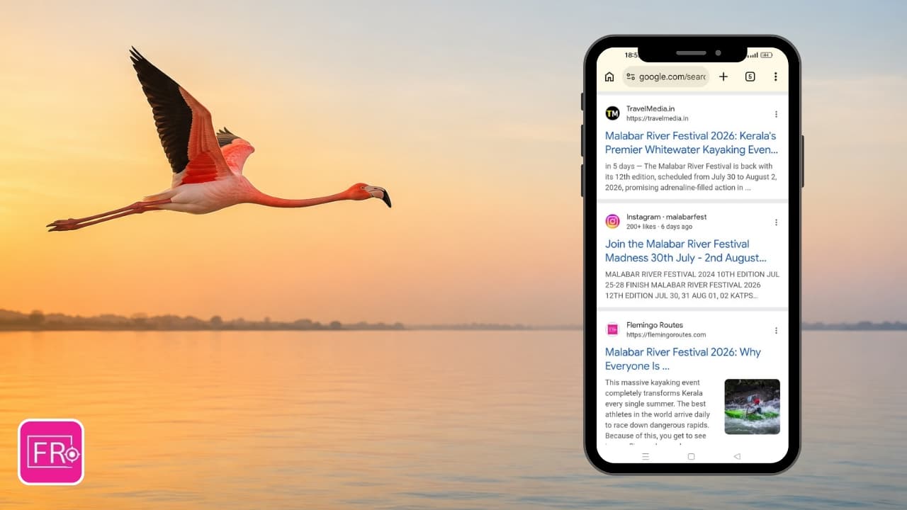 A flamingo flying over a calm lake symbolising the journey of Flemingo Routes reaching Google Page 1.