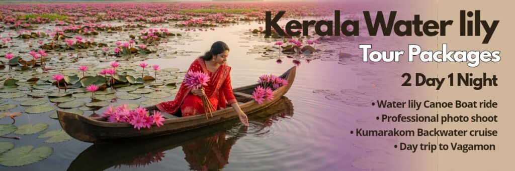A woman in a red churidar gently touches the water from a traditional wooden canoe surrounded by a vast field of blooming Kerala water lillies during golden hour.
