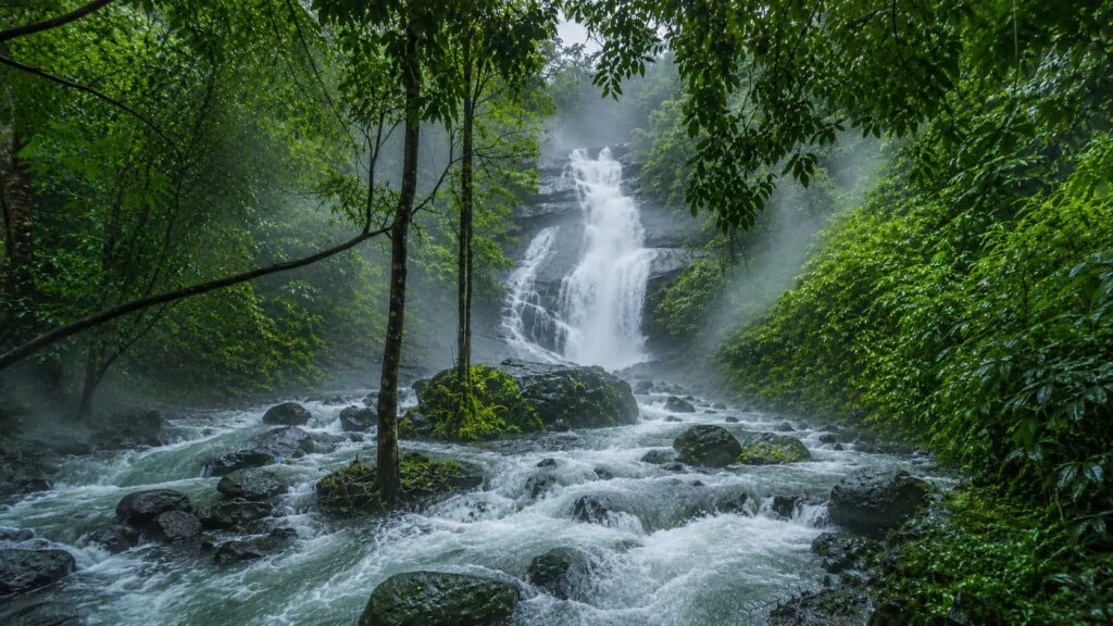 Thusharagiri Waterfalls in Kerala surrounded by dense green forest and rising white mist