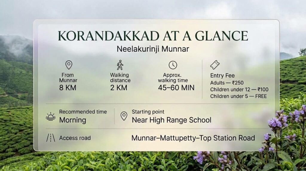 Korandakkad Neelakurinji Munnar travel guide with walking distance, entry fee, access road and visiting time